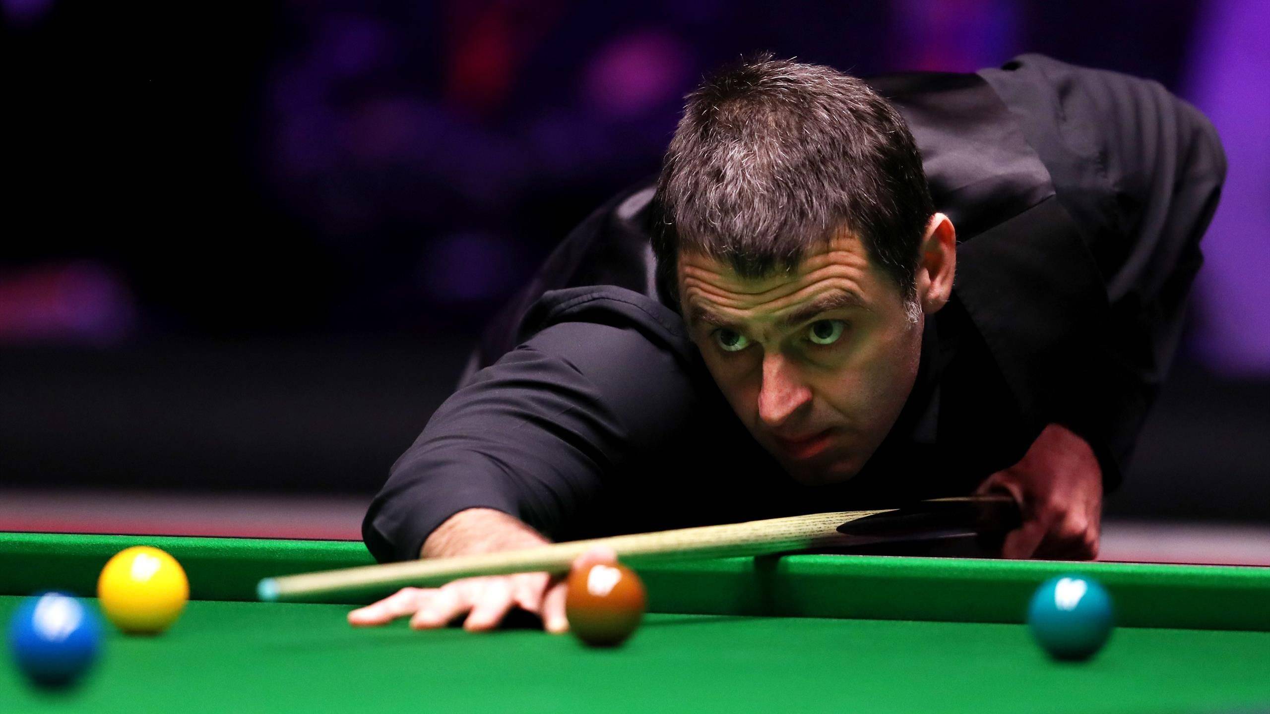 智会之约 智会之约