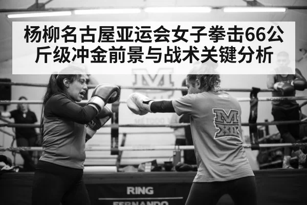 杨柳名古屋亚运会女子拳击66公斤级冲金前景与战术关键分析 - NG28